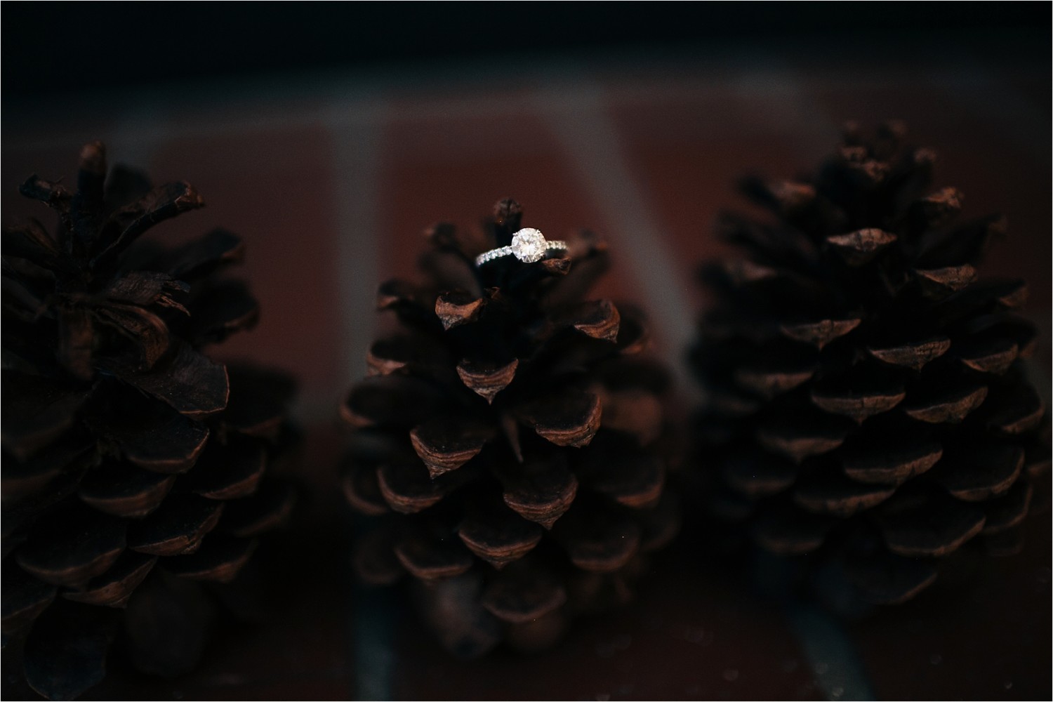 North Texas Wedding Photographer _ Rachel Meagan Photography _ a Highland Park United Methodist Church Wedding _ 015