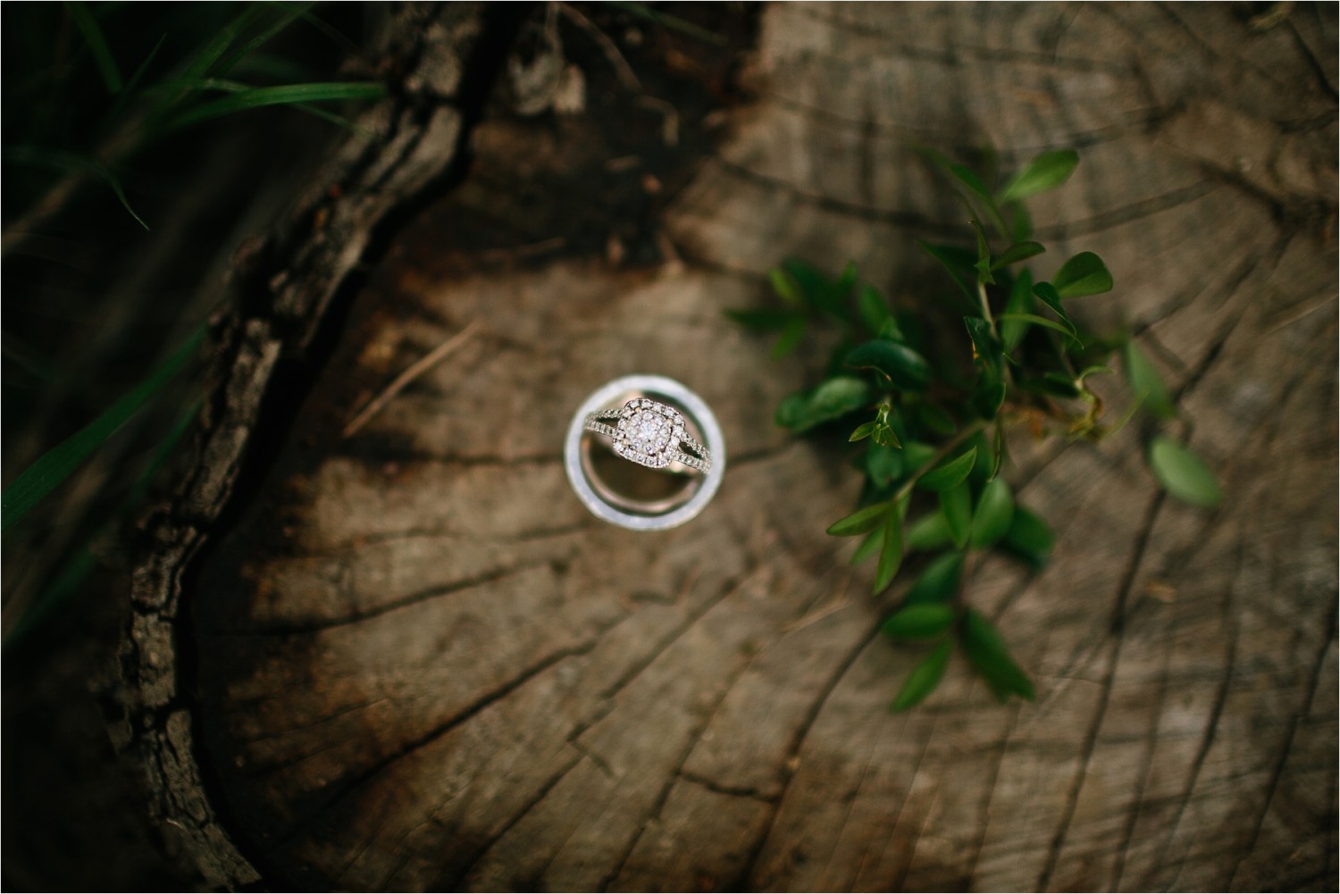 Stunning Wedding Dress Inspiration Vera Wang Gown + Groom's Suit _ a whimsical after session by North Texas Wedding Photographer31