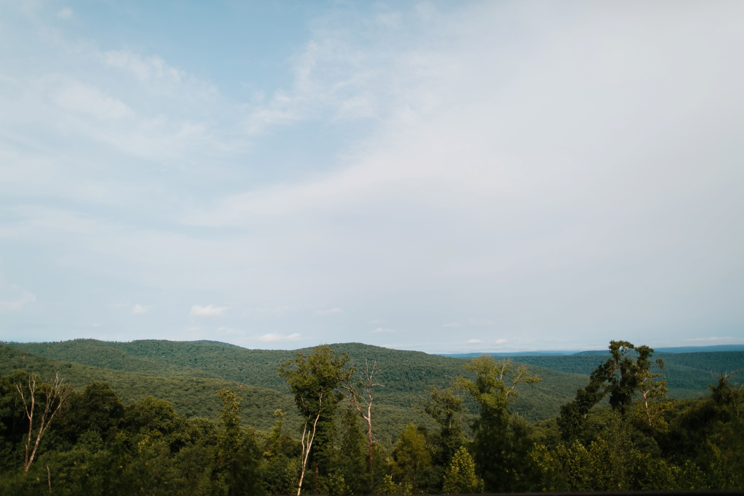 Annie + Max | cozy coffee shop, dowtown Fort Smith, Hawksbill Crag stylish engagement session in the Ozark National Forest by Destination Wedding Photographer Rachel Meagan Photography | 091