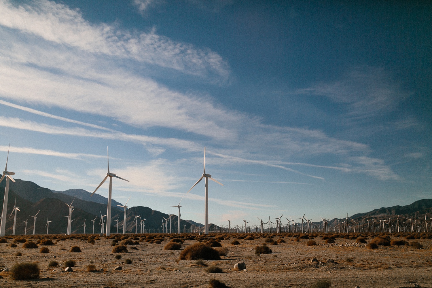 Jaclyn + Tyler | a stylish, adventurous palm springs and joshua tree engagement session by destination wedding photographer Rachel Meagan Photography | 032